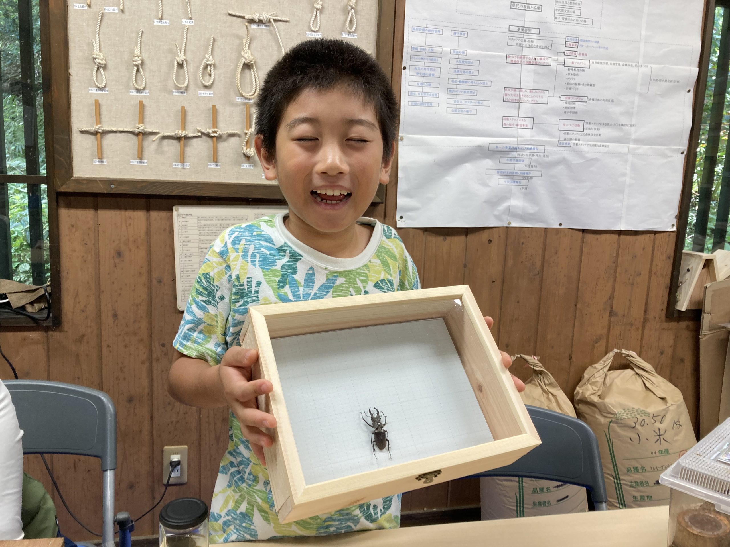 夏休みの工作は❝昆虫の標本❞標本箱から手づくりしよう！