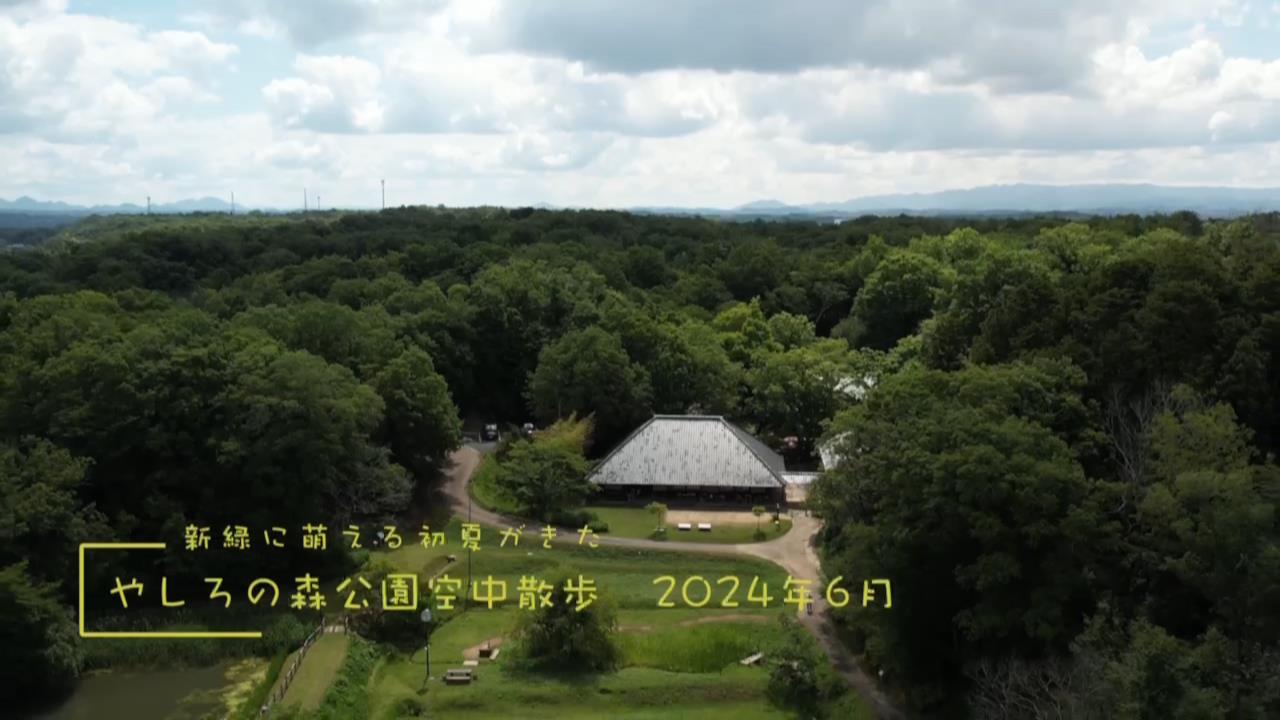 やしろの森公園　空中散歩2024年6月初夏　動画をアップしました