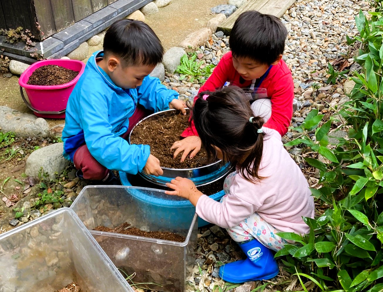 第１回 クワガタの幼虫を育てよう