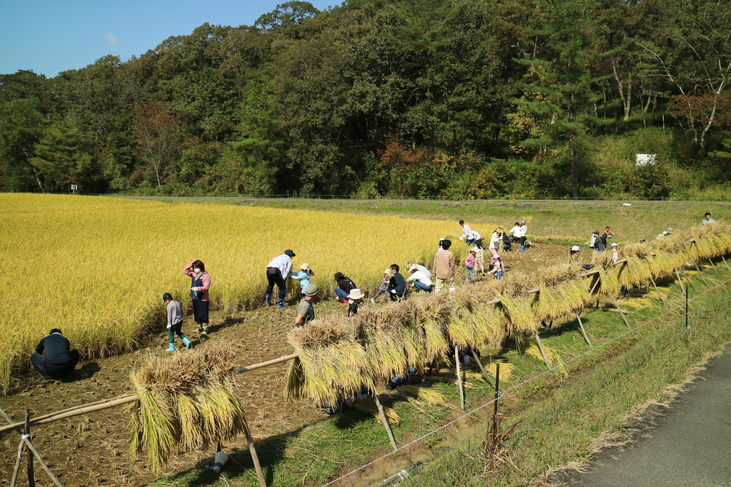 １０月のプログラム