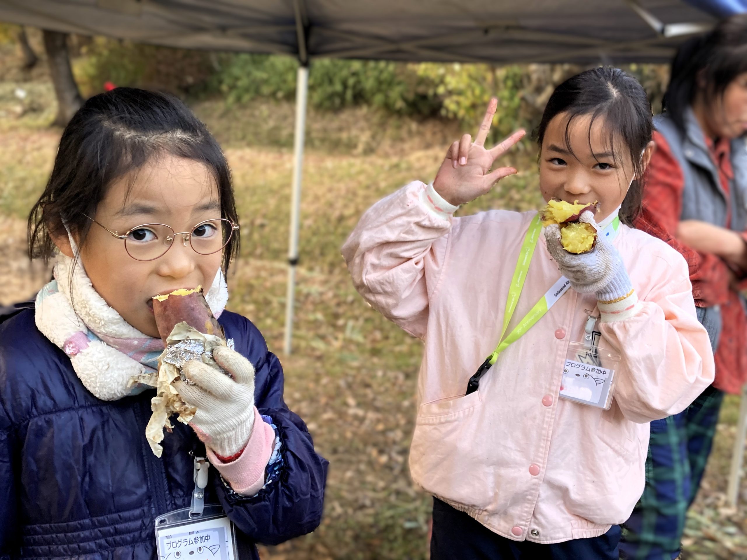 焼き芋を極める！