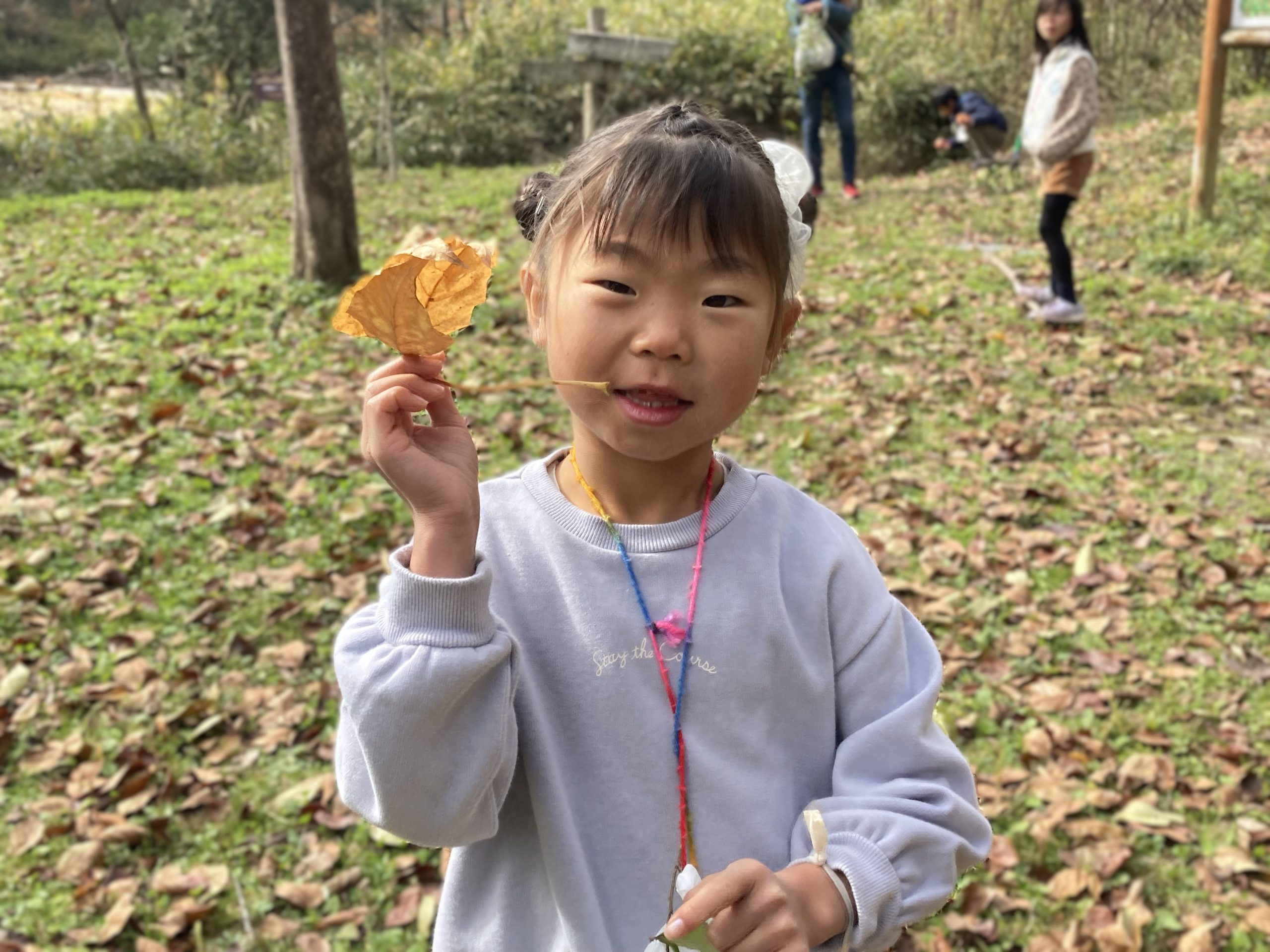 やしろの森 冒険ひろば「それゆけ！里山あそび隊 ! ! 秋」